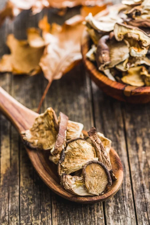 dried-mushrooms-grouped
