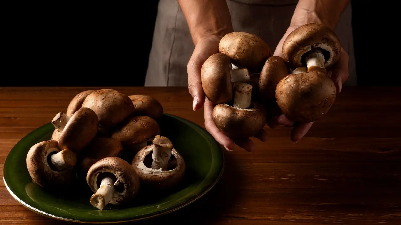 magic mushrooms benefits