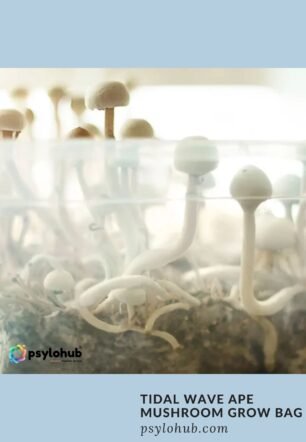 Tidal Wave Ape Mushroom Grow Bag
