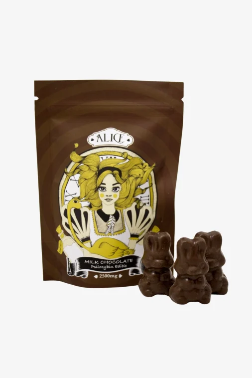 Milk Chocolate Mushrooms 1